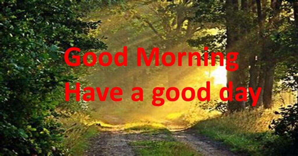 Good Morning Have a Good Day